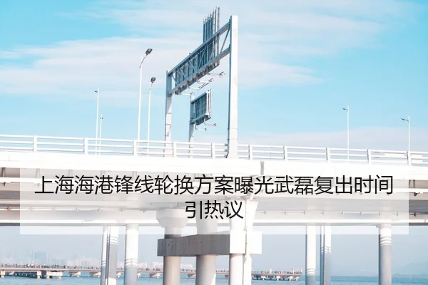 上海海港锋线轮换方案曝光武磊复出时间引热议