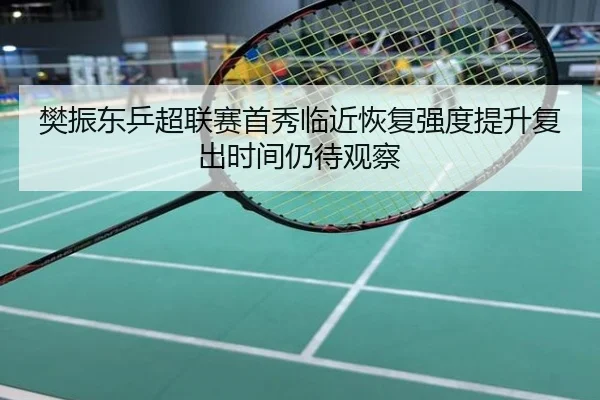 樊振东乒超联赛首秀临近恢复强度提升复出时间仍待观察